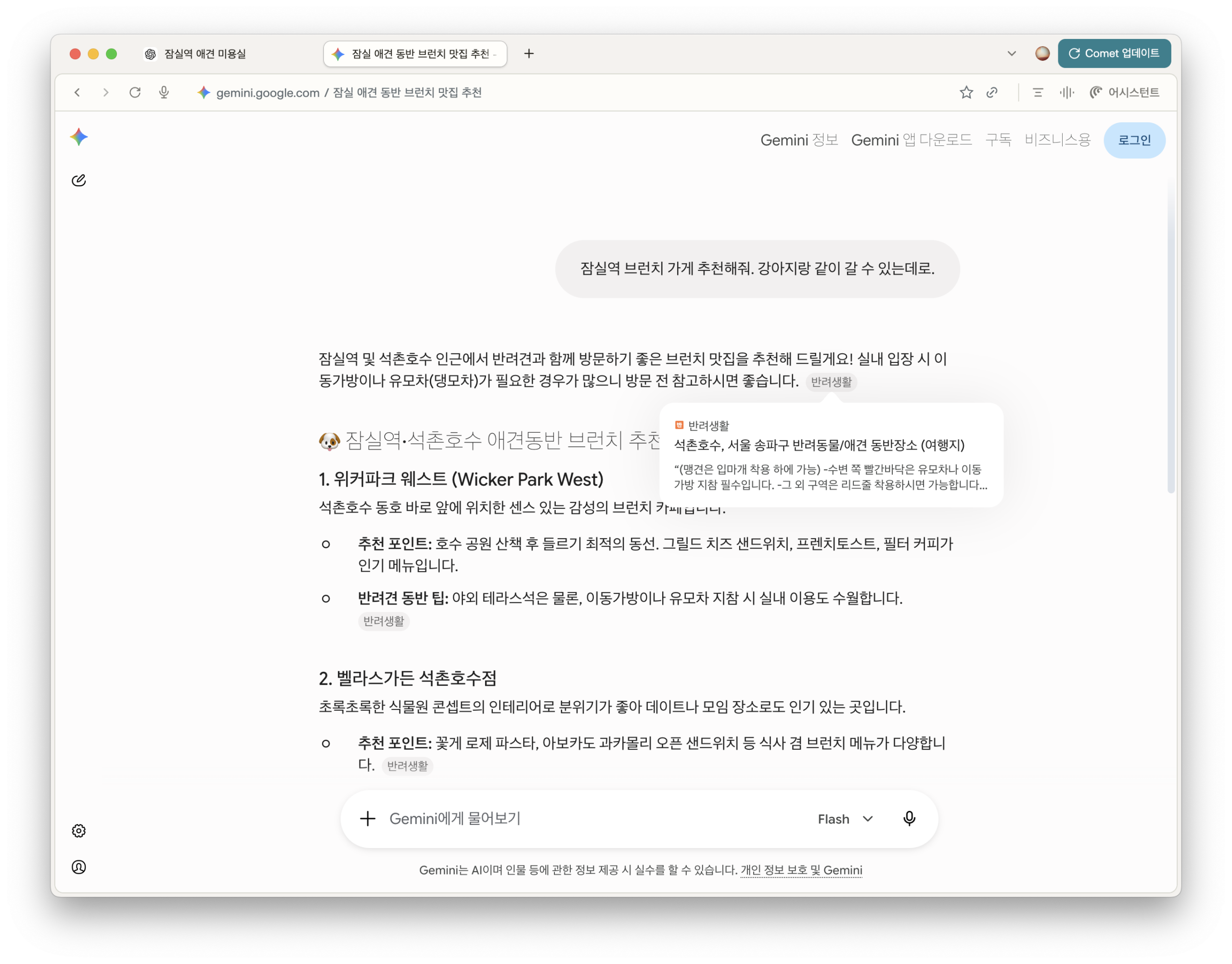 Gemini가 반려생활을 출처로 잠실 반려견 동반 브런치 식당을 추천한 화면